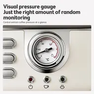 Espresso Coffee Machine 20 Bar Stainless Steel 2 n 1 Semi Automatic Cappuccino Latte Maker with Milk Frother 1.5L  Removable Water Tank Coffee Portafilter and Tamper Spoon 461