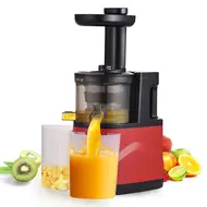 ​Slow Masticating Juicer Extractor Cold Press Juicer Machines with 2 Speed Modes Easy Clean Brush Quiet Motor for Vegetables&Fruits EU Plug 501