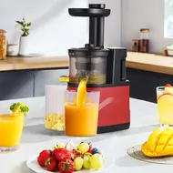 ​Slow Masticating Juicer Extractor Cold Press Juicer Machines with 2 Speed Modes Easy Clean Brush Quiet Motor for Vegetables&Fruits EU Plug 501