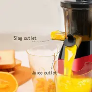 ​Slow Masticating Juicer Extractor Cold Press Juicer Machines with 2 Speed Modes Easy Clean Brush Quiet Motor for Vegetables&Fruits EU Plug 501