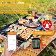 Smart Meat Thermometer Digital Wireless with Dual Probes Instant Reading Food Thermometer APP Control with Time Alarm Barbecue Thermometer for Outdoor BBQ with Stand and Hanging Stand 491