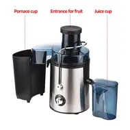 ​Swiitol Juicer  Large Caliber 800W Electric Stainless Steel Body Household Fruit and Vegetable Extractor with High Power and Residue Juice Separation - 2Pcs 512
