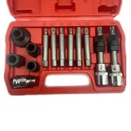 13 piece Alternator Pulley Tool Kit with storage cas 701