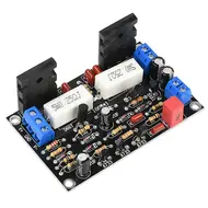 300W Mono Amplifier Board 1192