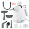 ​1000W Portable Handheld Steam Cleaner with High Temperature Pressurized Steam Brush Heads & Measuring Cup for Kitchen Furniture Bathroom & Car Cleaning - 2Pcs 436